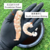 Comparison 2 - WB 【预购 Preorder】冻干厄瓜多尔大虾 Freeze-Dried Ecuadorian Prawns